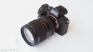Illustration for article titled How to Choose a Digital Camera